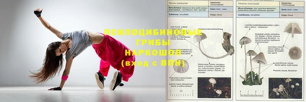 ГАЛЛЮЦИНОГЕННЫЕ ГРИБЫ Бронницы