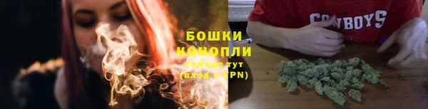 ГАЛЛЮЦИНОГЕННЫЕ ГРИБЫ Бронницы