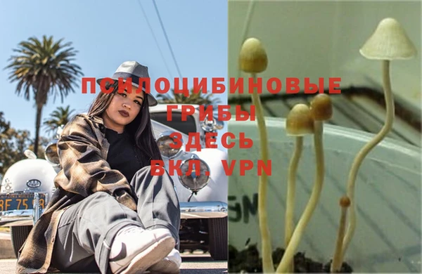 спиды Верхнеуральск