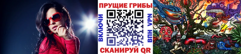 Псилоцибиновые грибы прущие грибы  Купить закладки  Кашира 
